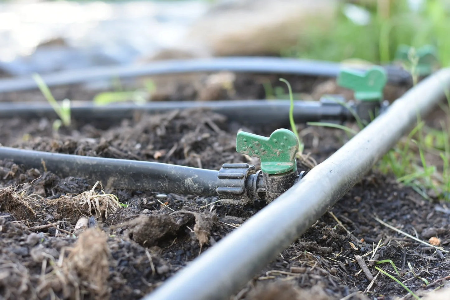 Drip Irrigation System Installation