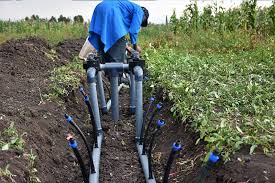 Drip Irrigation System Installation