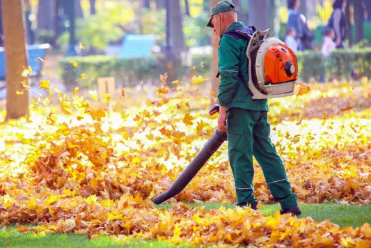 Garden Cleanup & Seasonal Refresh