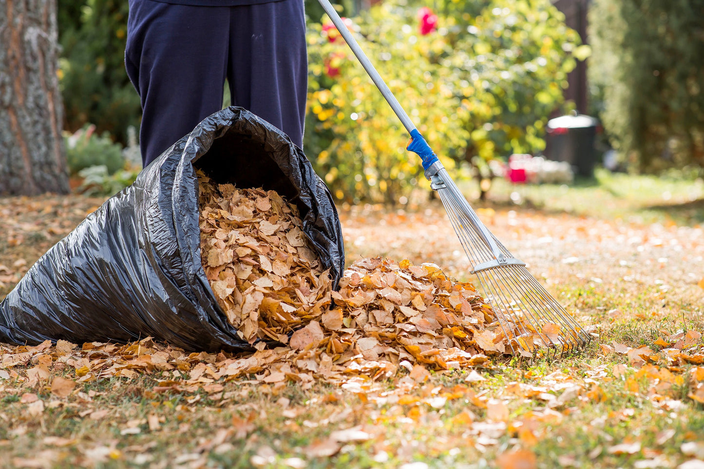 Garden Cleanup & Seasonal Refresh