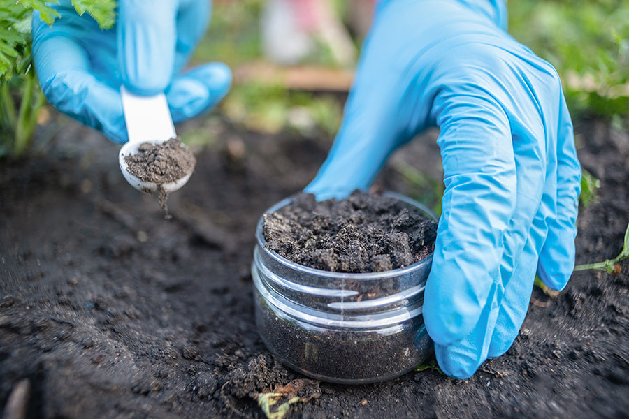 Garden Soil Testing & Analysis