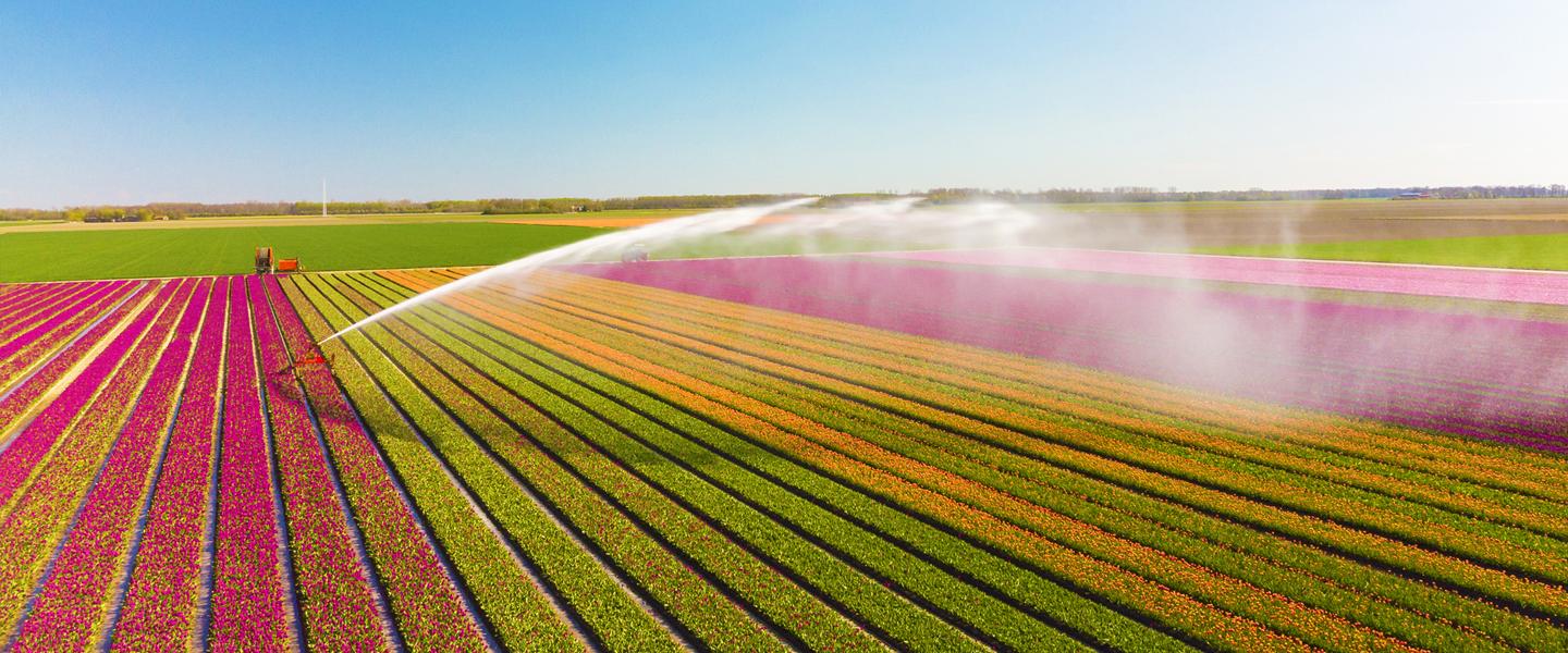 Irrigation Setup & Optimization