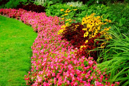 Seasonal Flower Planting Service