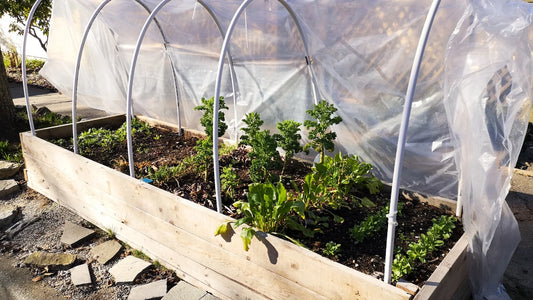 Winter Garden Bed Preparation