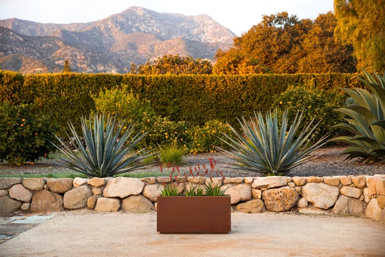 Xeriscape Garden Transformation