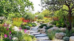 Xeriscape Garden Transformation